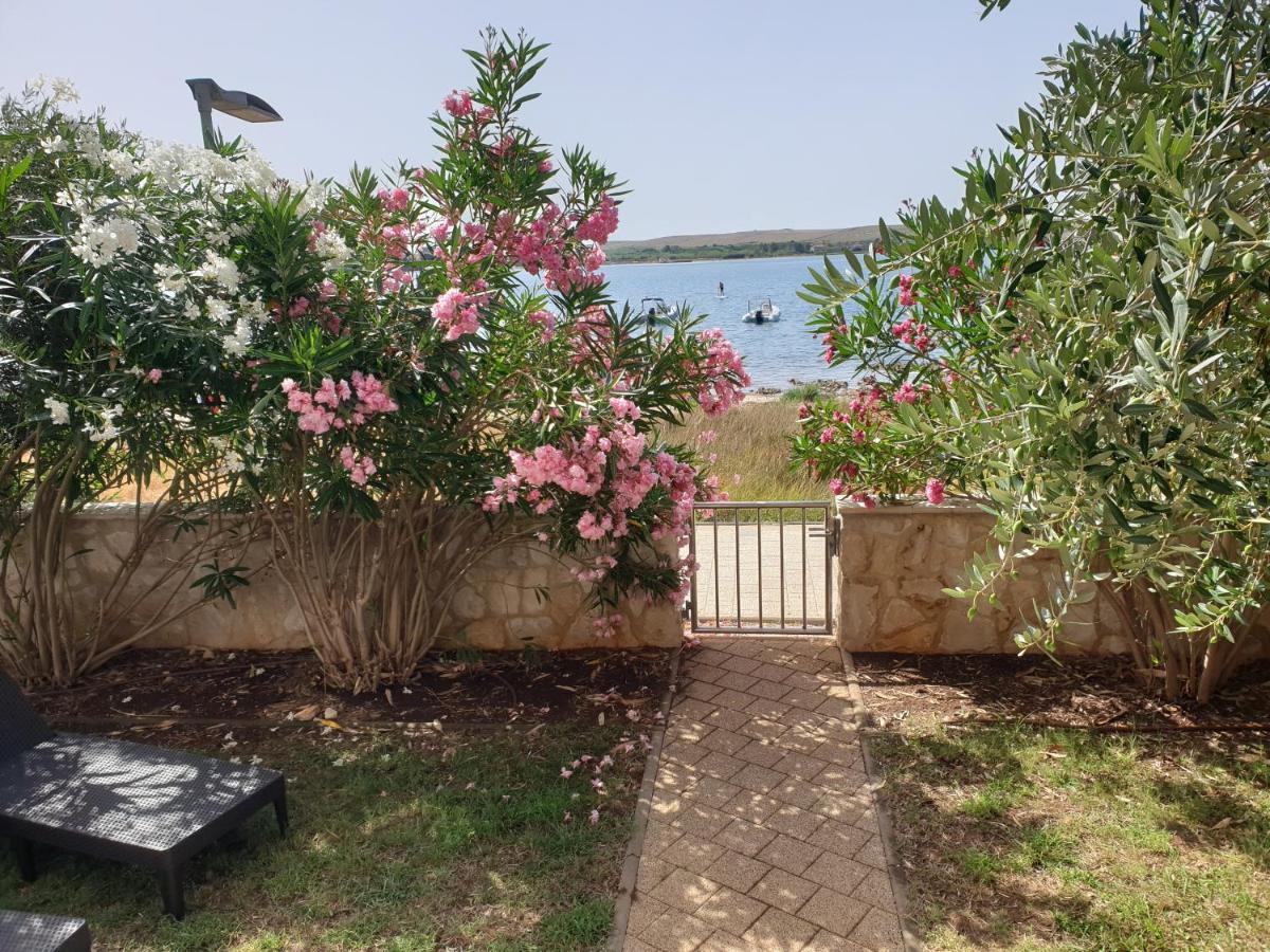 Summertime Apartmani Повляна Экстерьер фото
